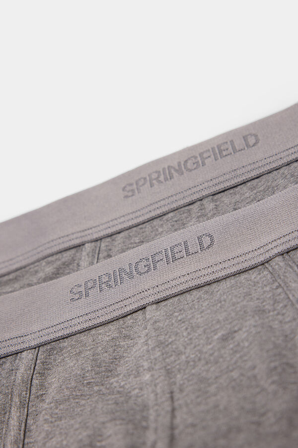 Springfield Packs 2 slips b&aacute;sicos gris