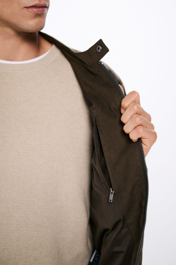 Springfield Cazadora efecto ante tostado