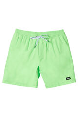 Quiksilver Everyday Solid Volley 15"- Cal&ccedil;&otilde;es de nata&ccedil;&atilde;o para homem verde