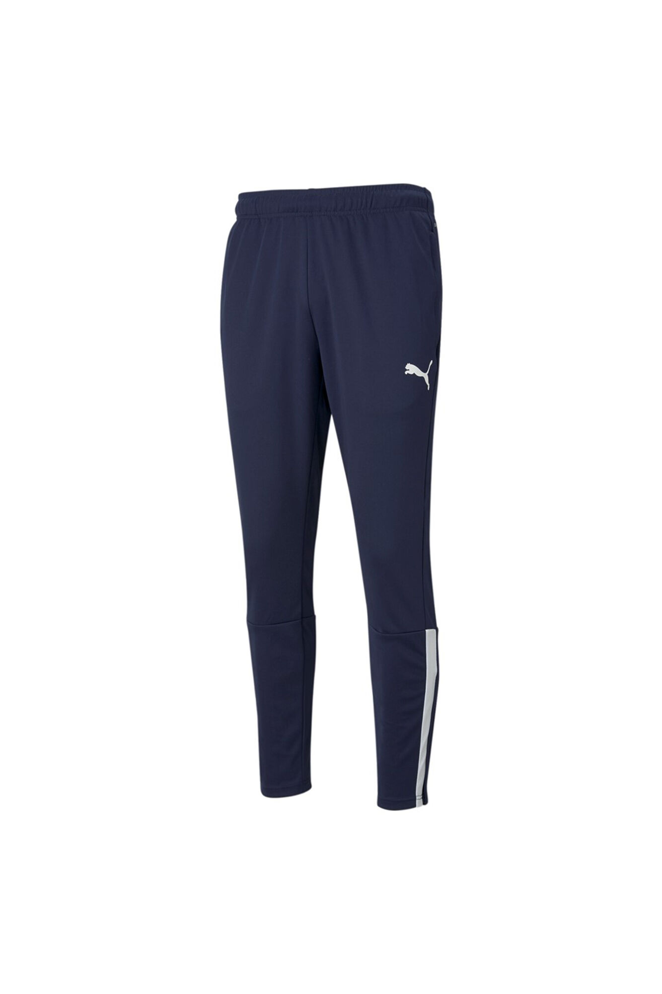 Puma teamLIGA Training Pants