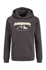 Jack & Jones Junior Sudadera con capucha y estamapdo gris
