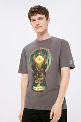 Springfield T-shirt Lord of the Rings mix cinza