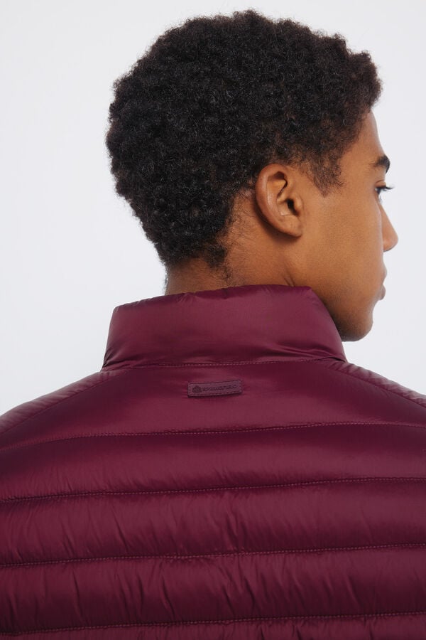 Springfield Chaqueta acolchada burdeos