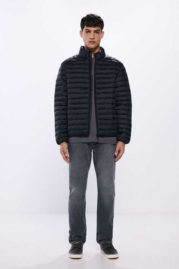 Springfield Chaqueta acolchada negro