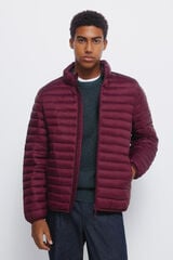 Springfield Chaqueta acolchada burdeos