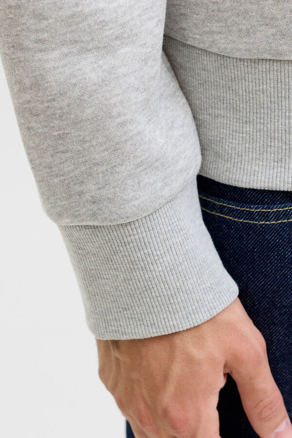 JJ REBEL Sudadera regular fit gris