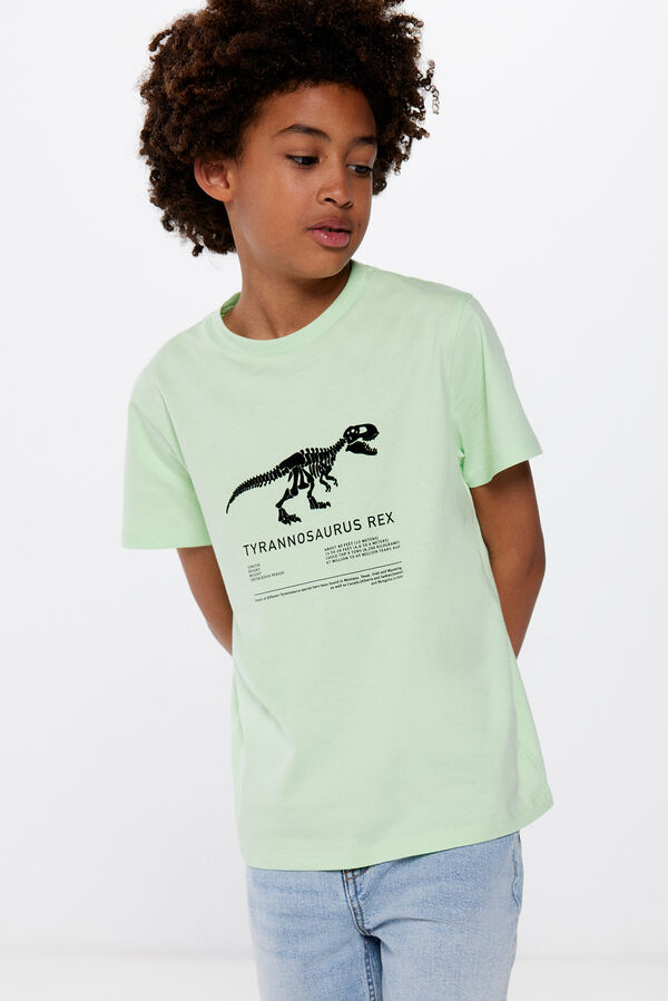 Springfield Kids Camiseta t-rex ni&ntilde;o verde
