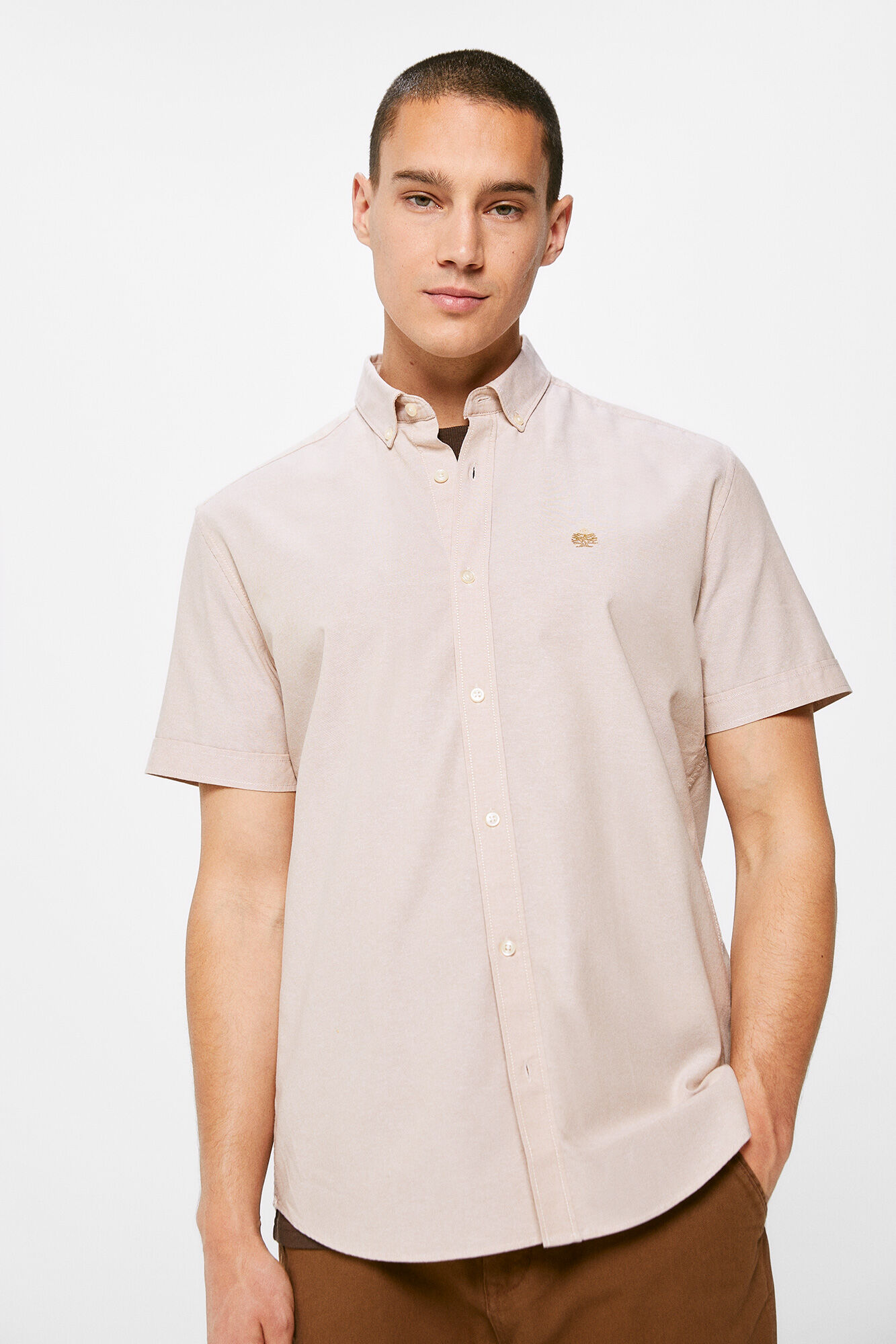 Springfield Camisa pinpoint