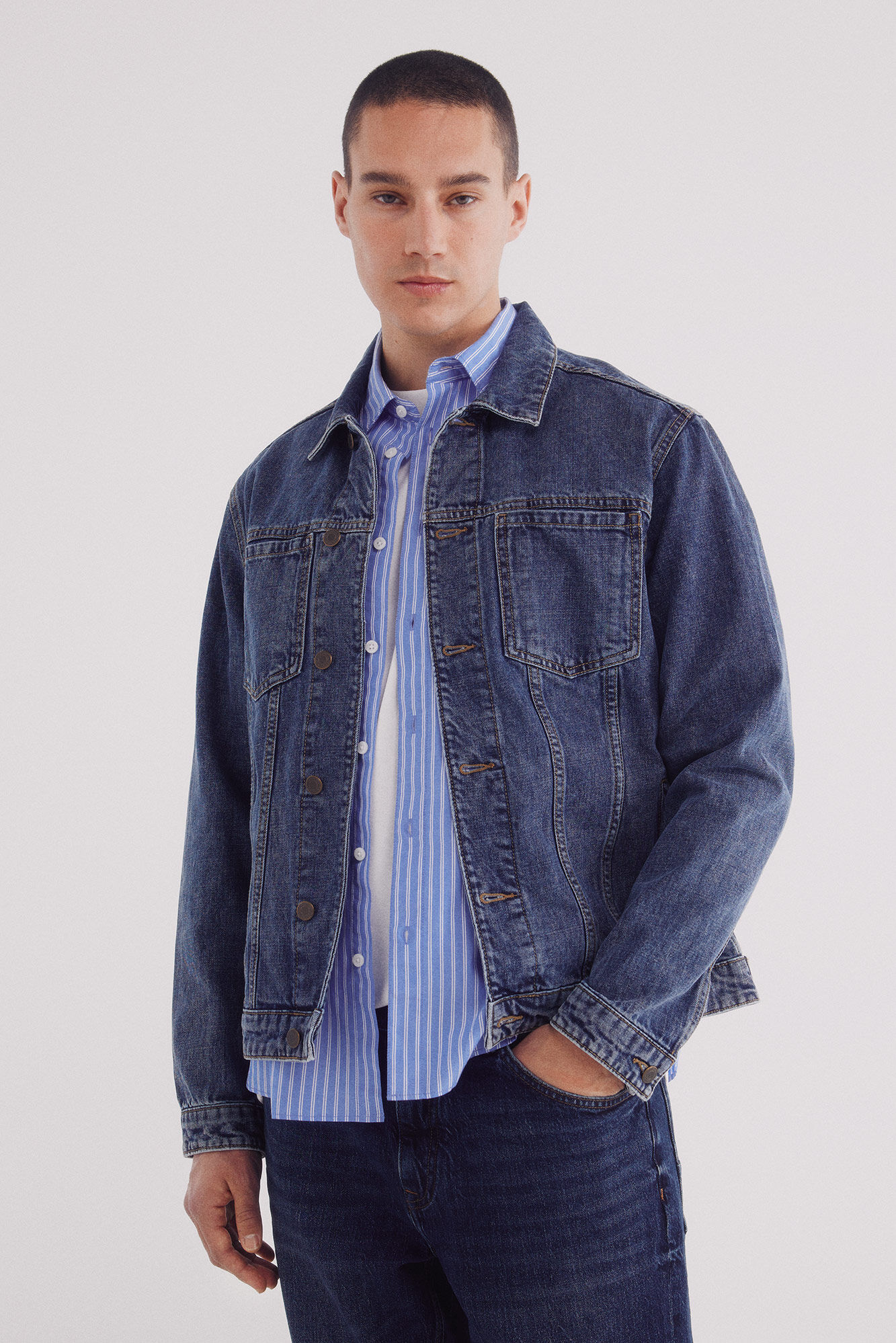 Springfield Cazadora vaquera b&aacute;sica lavada