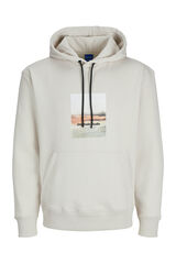 Jack & Jones Moletom com capuz e Sweatshirt descontraído cinzento