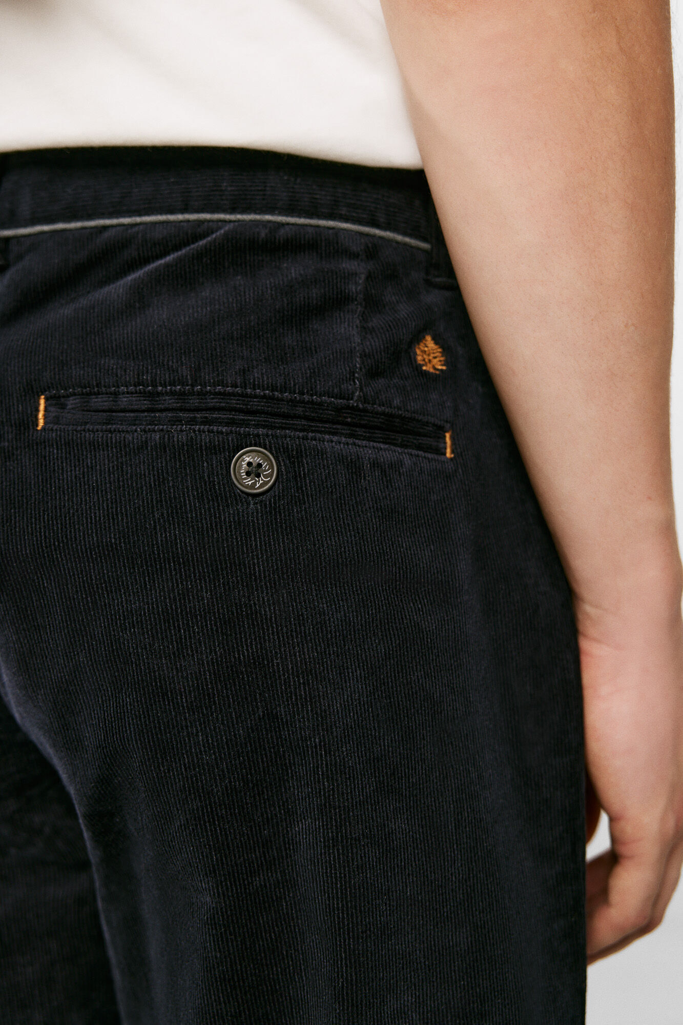 Springfield Chino micro bombazina