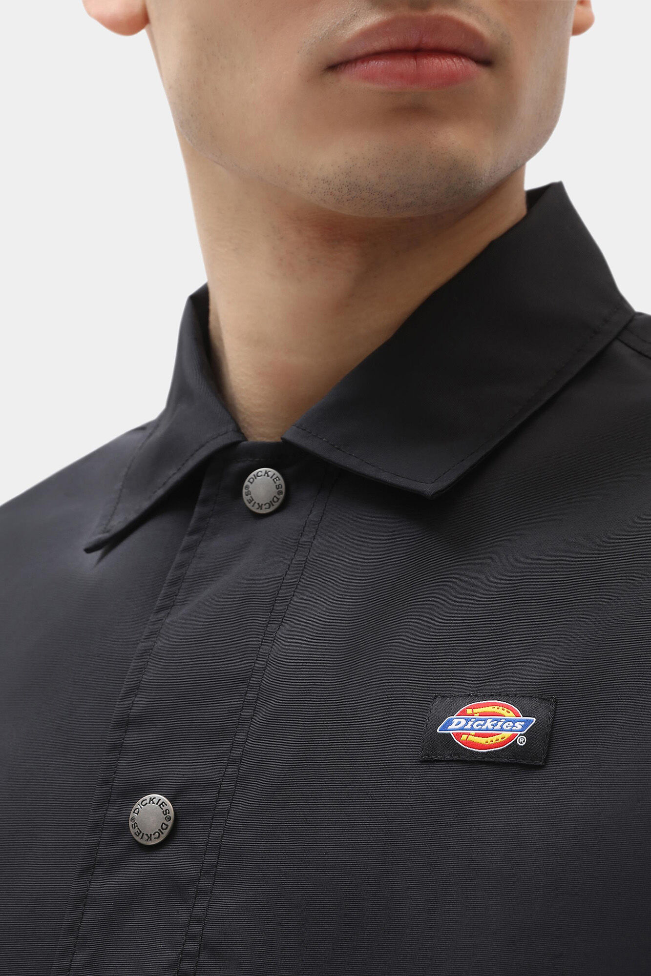 Dickies Casaco Oakport Coach