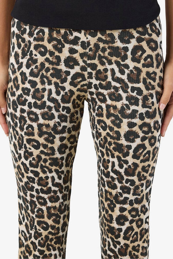 Noisy May Cal&ccedil;a canelada cinzento