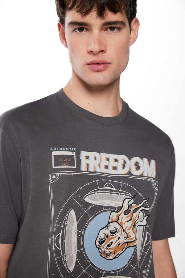 Springfield Camiseta freedom gris