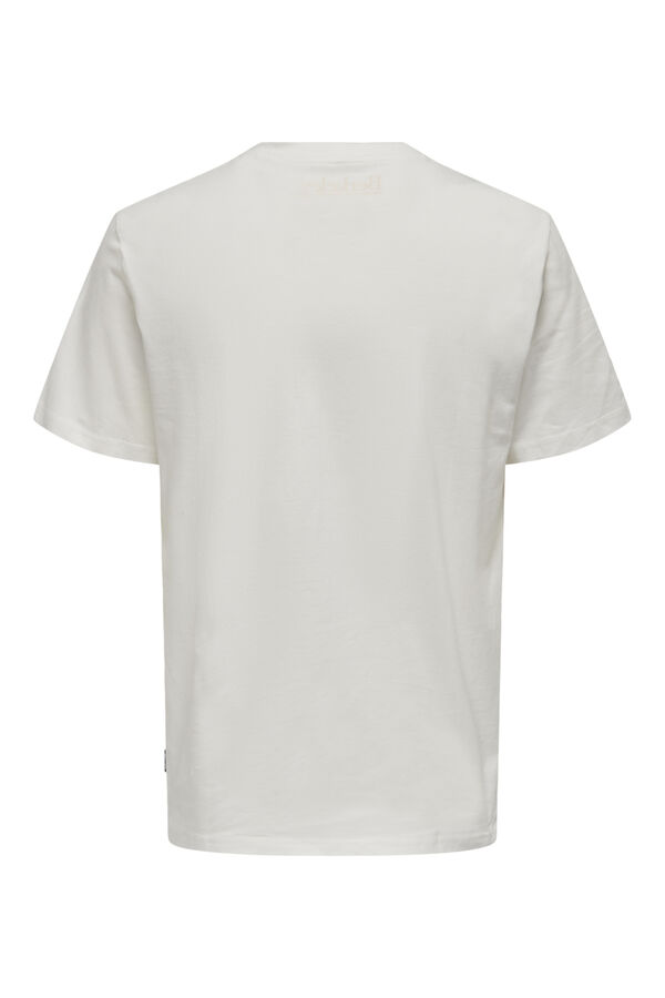Springfield Camiseta Berkeley gris claro