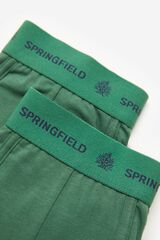 Springfield Pack 2 slips básicos verde