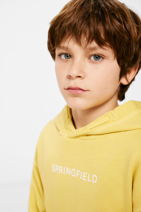 Springfield Kids Sudadera capucha logo ni&ntilde;o estampado