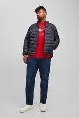 Jack & Jones PLUS Chaqueta acolchada tipo puffer PLUS negro