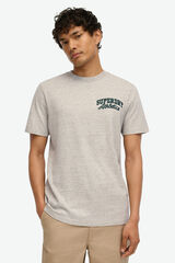 Superdry Camiseta Manga Corta gris
