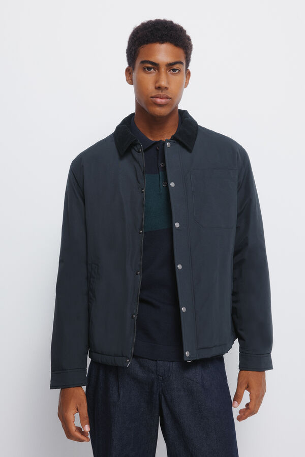 Springfield Cazadora cuello pana estampado