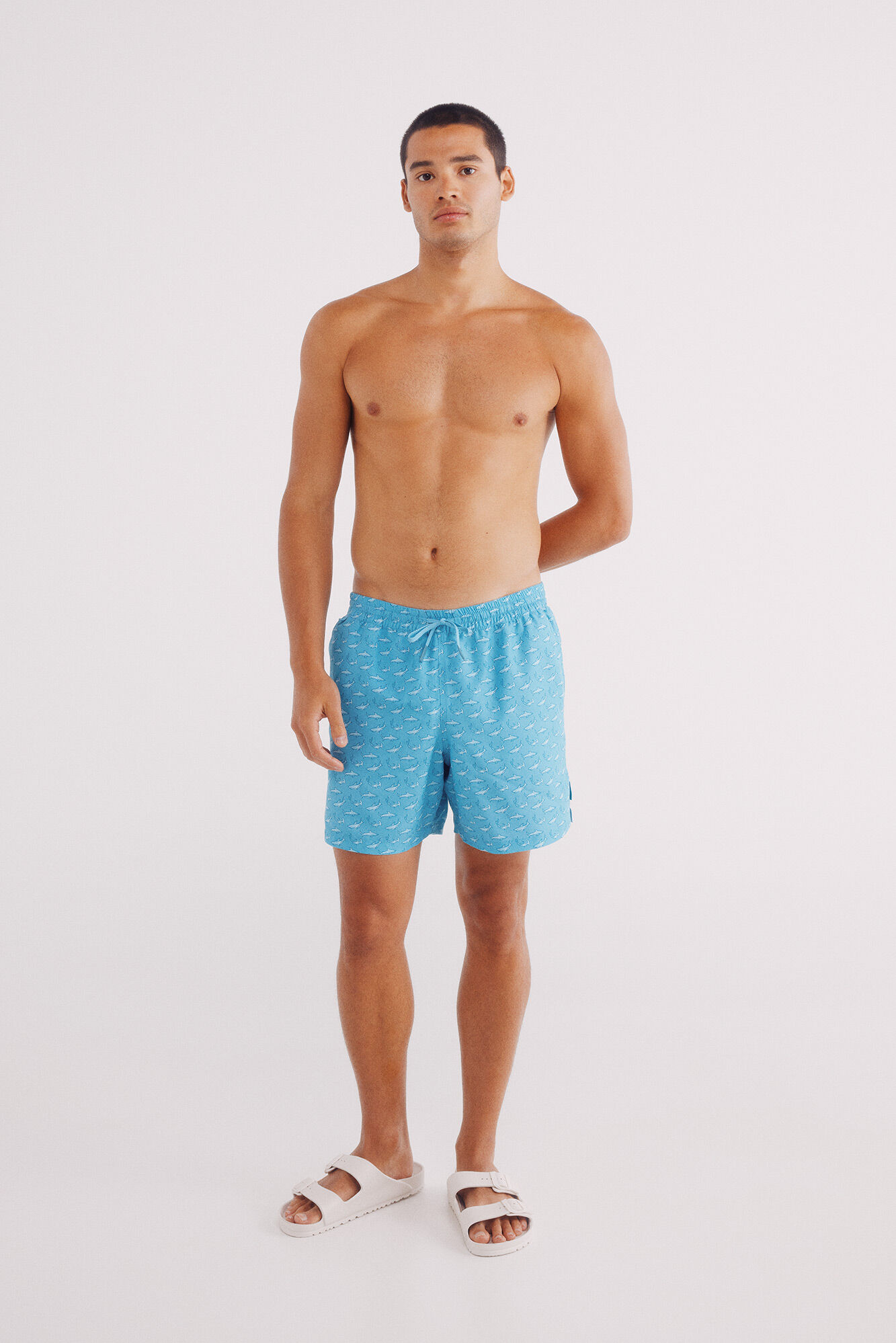 Springfield Ba&ntilde;ador estampado tiburones