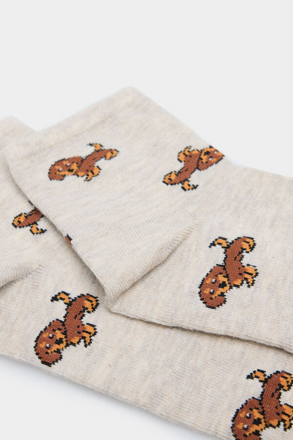 Springfield Calcet&iacute;n corto perro salchicha nude