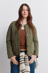 Springfield Casaco curto acolchoado verde Caqui escuro