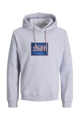 Jack & Jones Sudadera con capucha regular gris