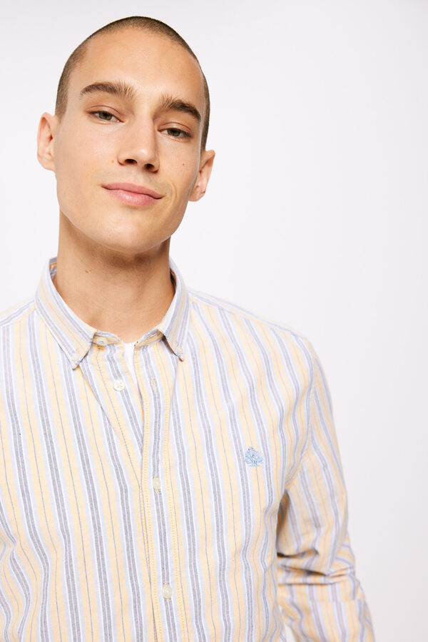 Springfield Camisa oxford riscas  camelo