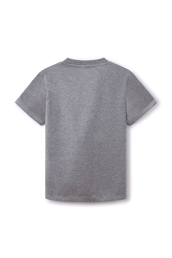 Springfield Kids Camiseta print dinosaurio ni&ntilde;o gris