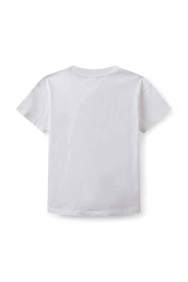 Springfield Kids T-shirt "furious surfers" rapaz bege