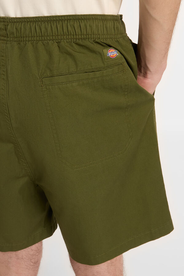 Dickies Cal&ccedil;&otilde;es Pelican Rapids verde