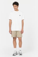 Dickies Cal&ccedil;&otilde;es Pelican Rapids bege