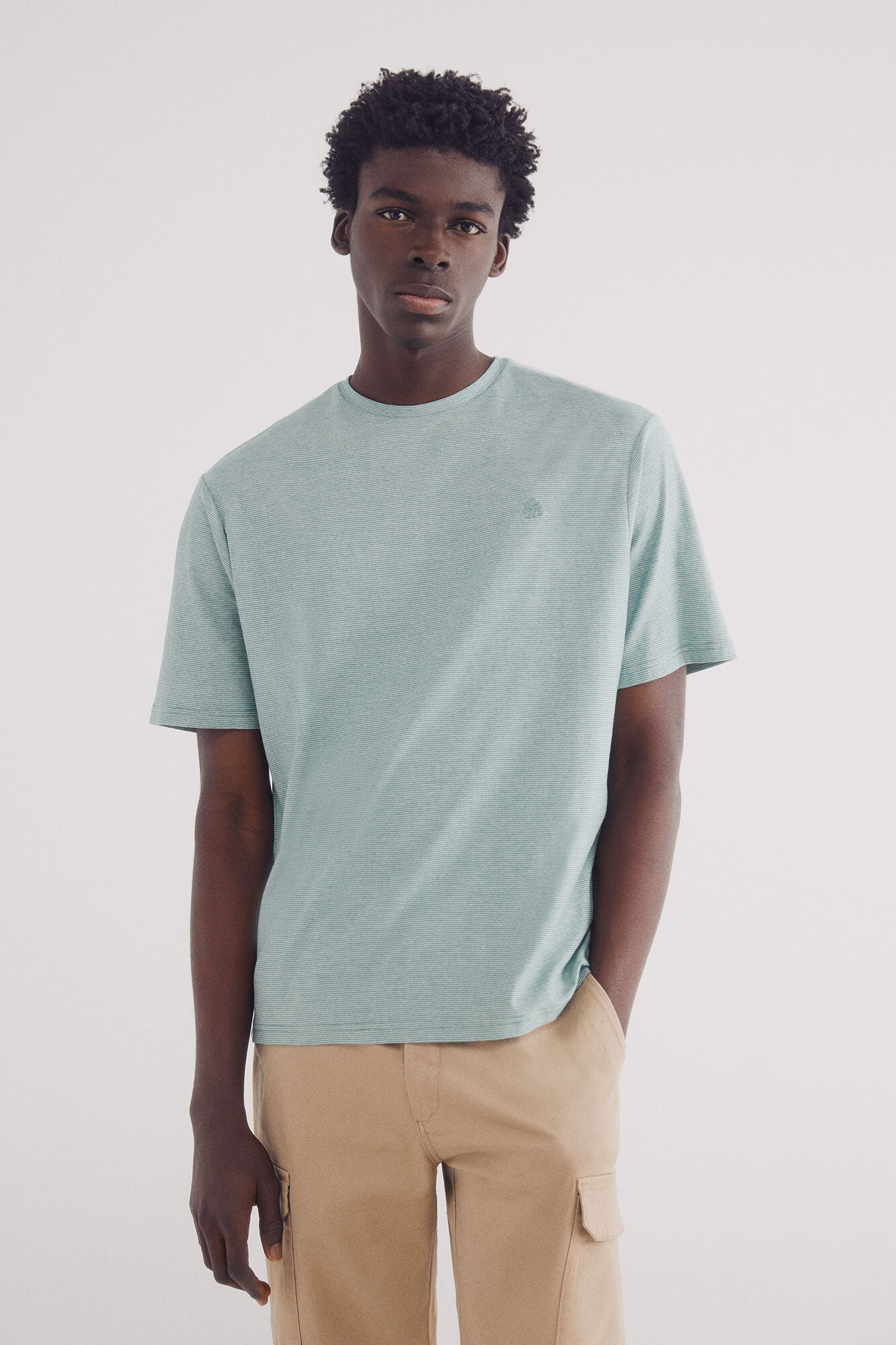 Springfield Camisola microrriscas