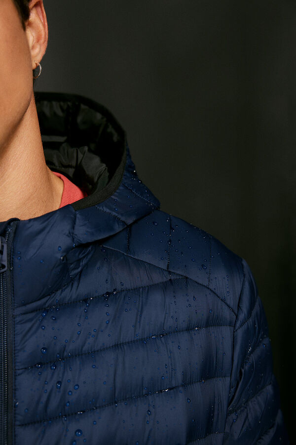 Springfield Casaco acolchoado capuz azul