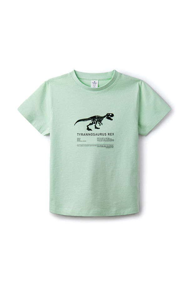 Springfield Kids Camiseta t-rex ni&ntilde;o verde