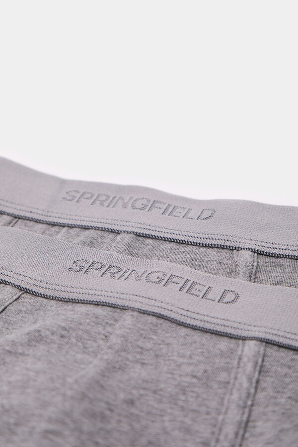 Springfield Pack 2 slips básicos gris