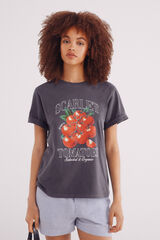 Springfield Camiseta "A Colheita" cinzento