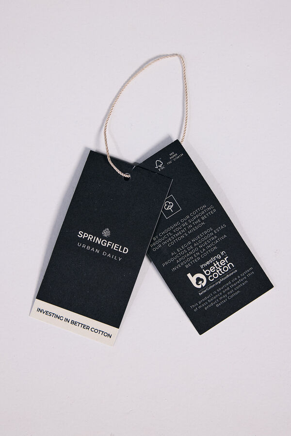 Springfield Camisa social bicolor azul