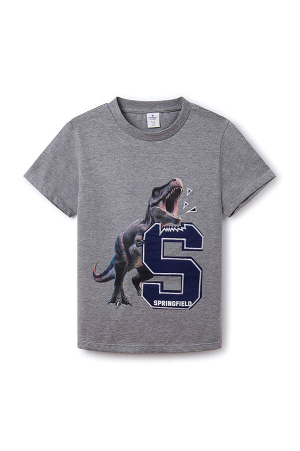 Springfield Kids Camiseta print dinosaurio ni&ntilde;o gris