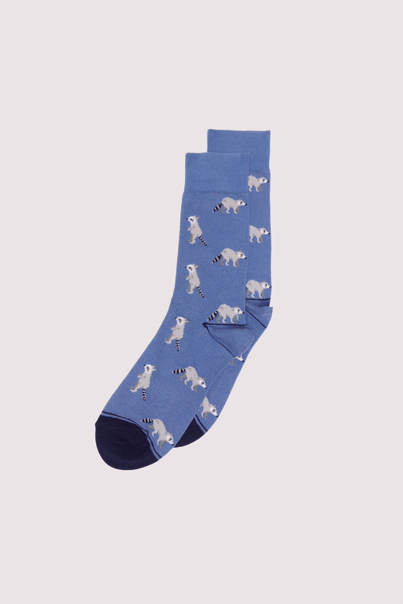 Springfield Meia guaxinim