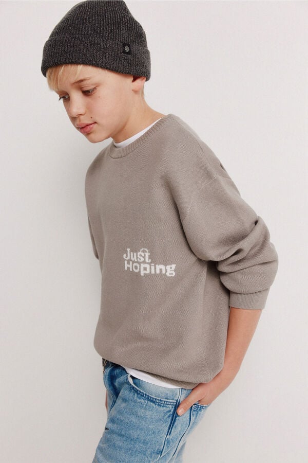 Springfield Kids Camisola infantil "Just Hopping" cinzento