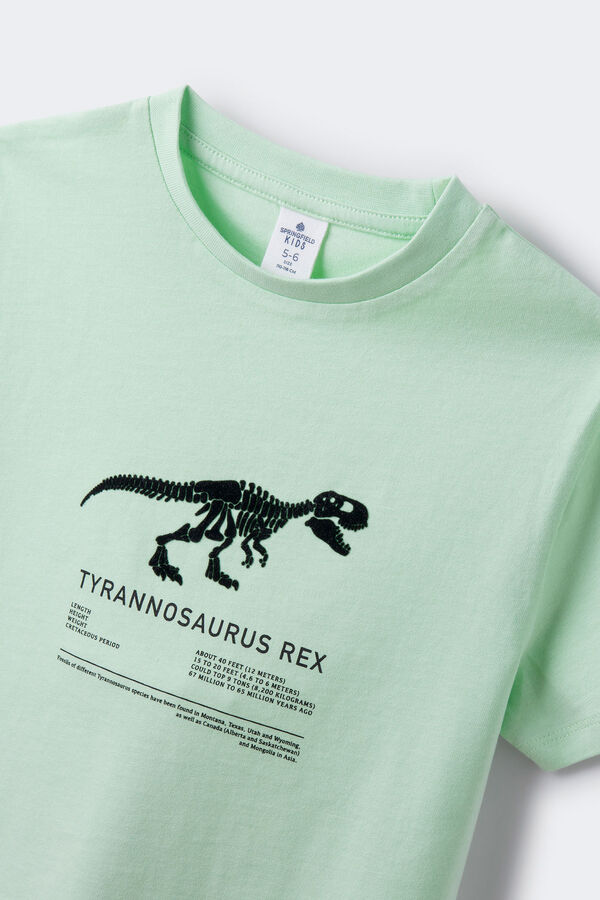 Springfield Kids Camiseta t-rex ni&ntilde;o verde