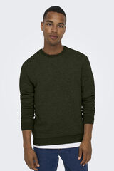 Only & Sons Sweatshirt gola redonda verde