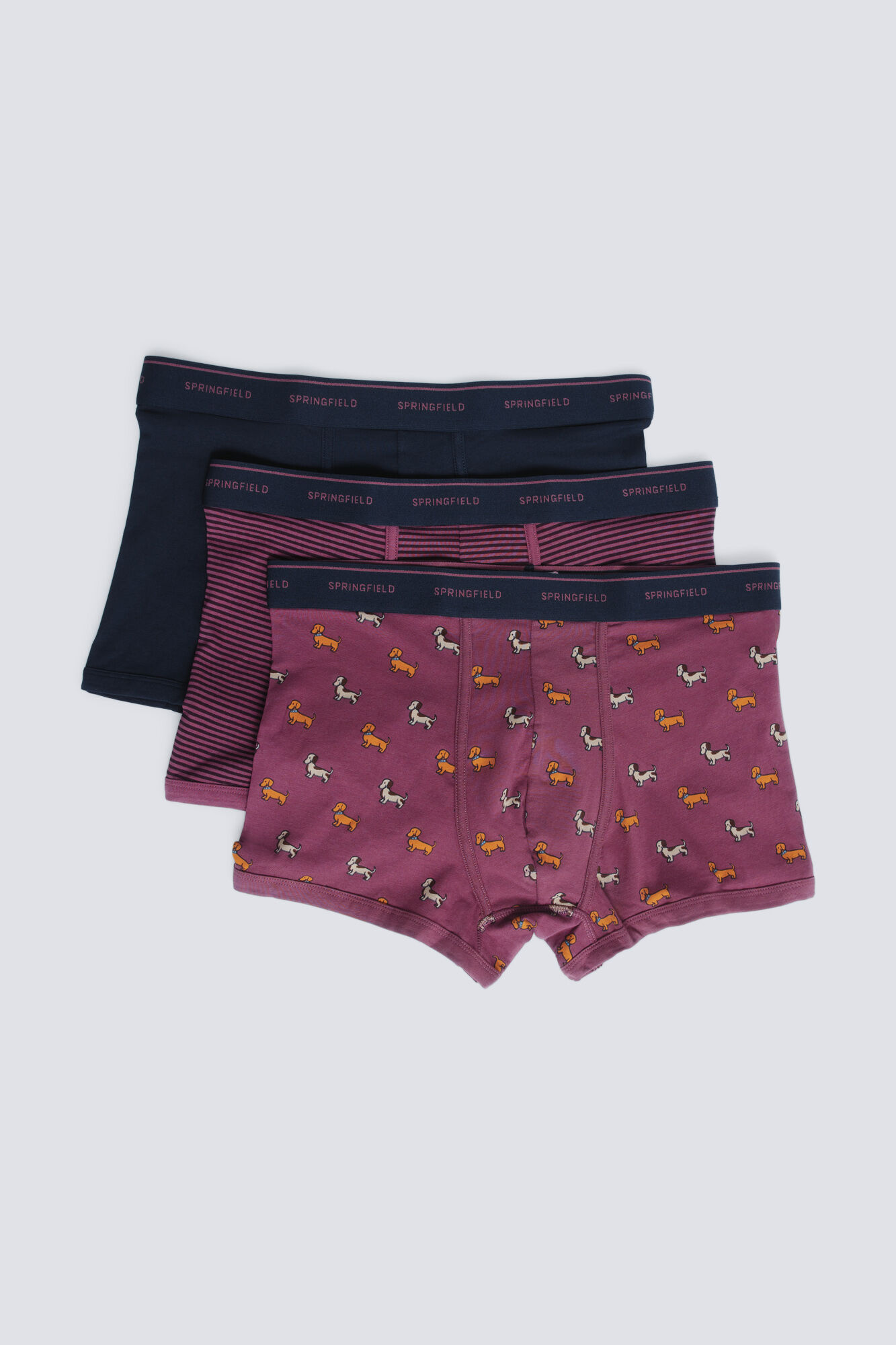 Springfield Pacote com 3 c&atilde;es boxer e riscas