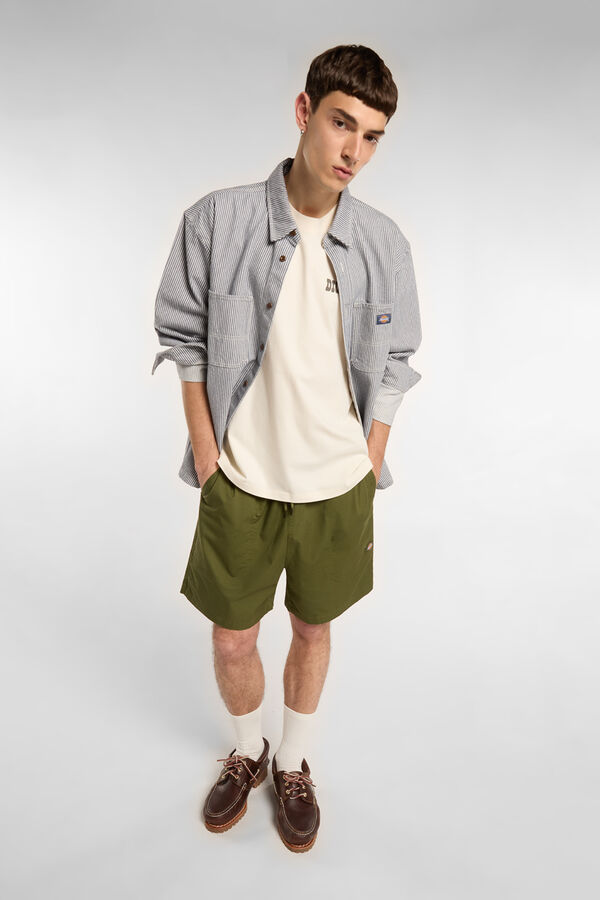 Dickies Cal&ccedil;&otilde;es Pelican Rapids verde