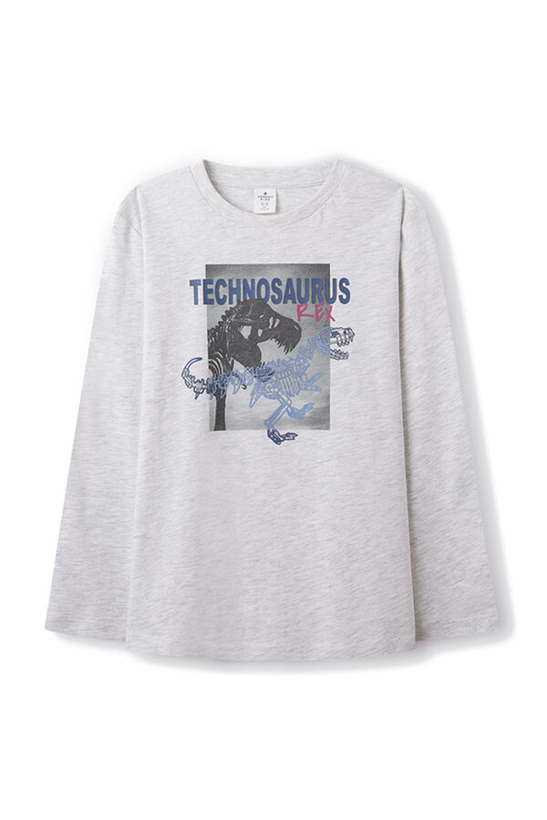 Springfield Camiseta Technosaurus niño gris claro