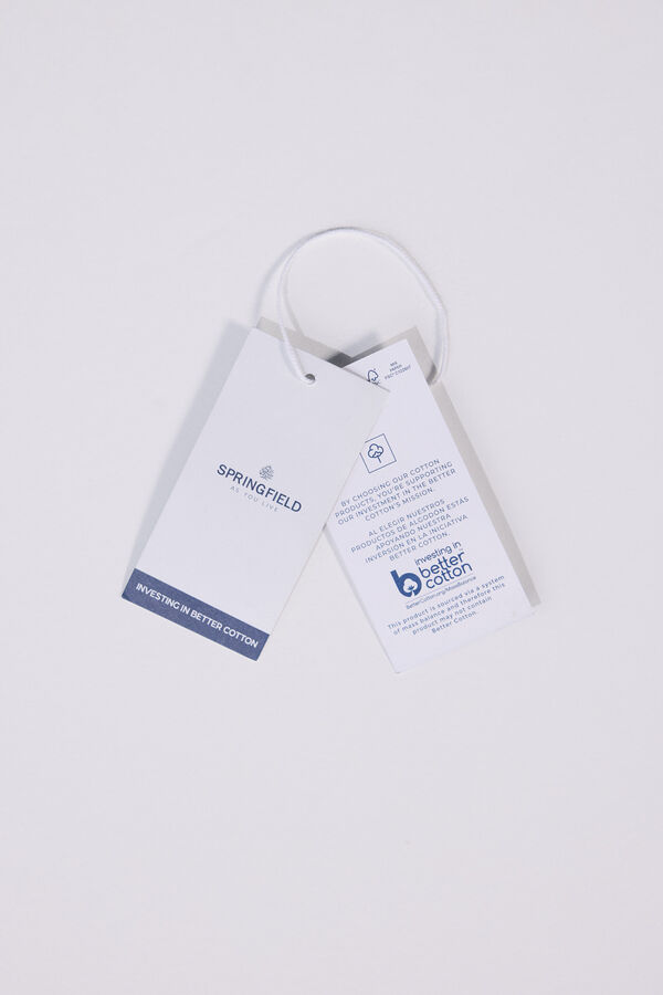 Springfield Camisa Oxford azul