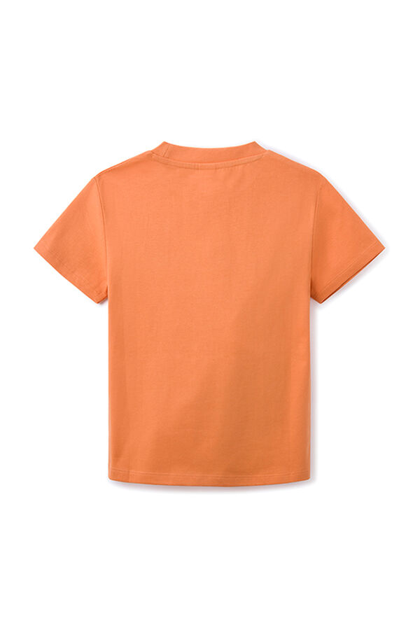 Springfield Kids Camiseta print skate ni&ntilde;o naranja