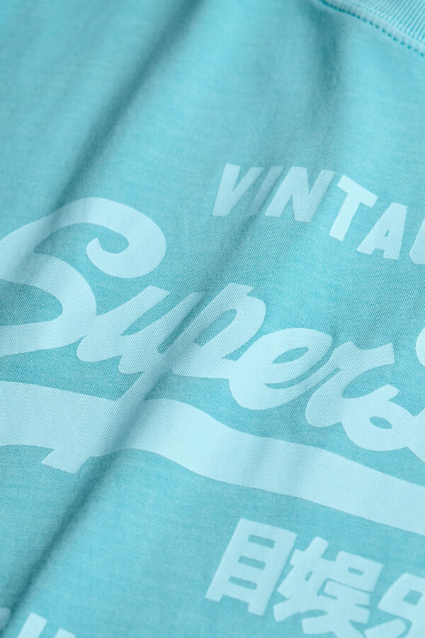 Superdry Camiseta Vl Neon Relaxed Tee turquesa